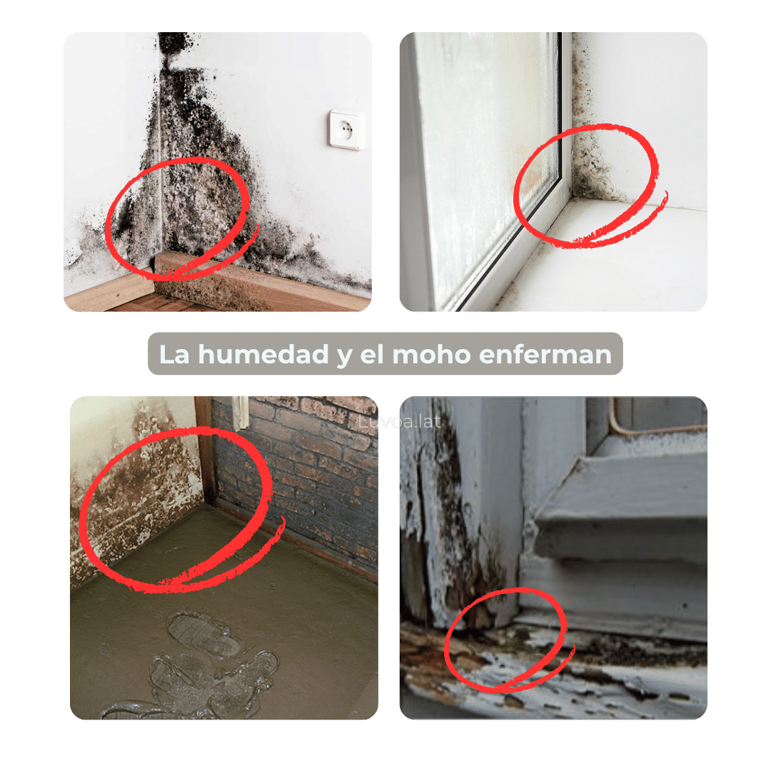 Impermeabilizante Liquido Transparente Resistente Al Agua De 500 Gramos + Brocha