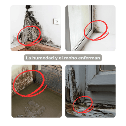 Impermeabilizante Liquido Transparente Resistente Al Agua De 500 Gramos + Brocha